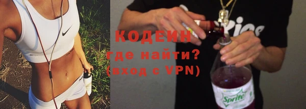 шишки Ладушкин