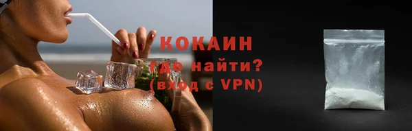 шишки Ладушкин