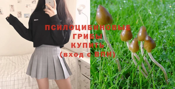 гашик Кукмор