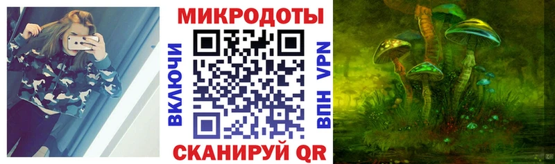 где найти   Самара  Псилоцибиновые грибы Cubensis 