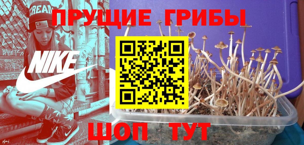 Псилоцибиновые грибы мухоморы  Вход с VPN  Псилоцибиновые грибы мицелий  где продают   Самара 