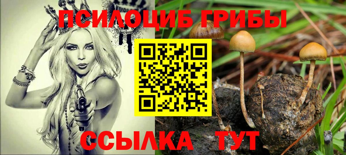 Галлюциногенные грибы Psilocybine cubensis Самара